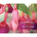Everything Beautiful in Its Time