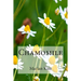 Chamomile