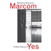 A Brief History of Yes