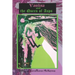 Vasilisa and the Queen of Asps