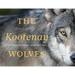The Kootenay Wolves: Five Years Following a Wild Wolf Pack