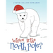Where Is the North Pole?