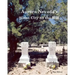 Aurora, Nevada's Silent City on the Hill
