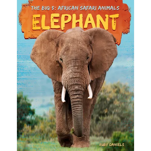 Elephant - Library Binding