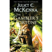 The Gambler's Fortune: The Third Tale of Einarinn