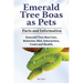 Emerald Tree Boas as Pets. Facts and Information. Emerald Tree Boa Care, Behavior, Diet, Interaction, Costs and Health.
