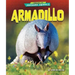 Armadillo