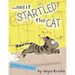 ... and it Startled the Cat