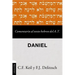 Comentario al texto hebreo del Antiguo Testamento - Daniel Softcover Commen