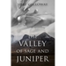 The Valley of Sage and Juniper
