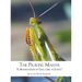 The Praying Mantis: "A Manifestation of God, Come to Earth"