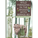 Wild Foraging In The Woods With Bernie Bo: Learn The Type Of Berries