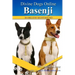 Basenji