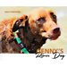Genny's River Day