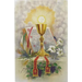First Mass Book: An Easy Way of Participating at Mass for Boys and Girls