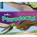 Pterodactyl