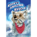 Rocky's Amazing Rescue