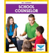 School Counselor