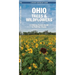 Ohio Trees & Wildflowers: A Folding Pocket Guide to Familiar Plants