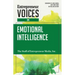 Entrepreneur Voices on Emotional Intelligence
