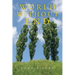World Without End