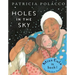 Holes in the Sky