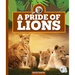 A Pride of Lions
