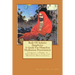 Body Of Infinite Simplicity: A Guide For Homeless Meditation Practitioners: Finding a Home in Nonduality: For the Modern Mahasiddha