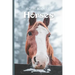 Picture Book Of Horses: Large Print Book For Seniors with Dementia or Alzheimer's