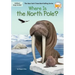 Where Is the North Pole?