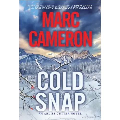 Cold Snap: An Action Packed Novel of Suspense