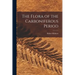 The Flora of the Carboniferous Period