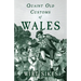 Quaint Old Customs of Wales (Folklore History Series)