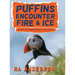 Puffins Encounter Fire and Ice: Iceland: The Puffin Explorers Series Book 3