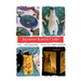 Japanese Kawaii Crafts: Super cute crafts easy to make