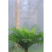 Earth Revealing - Earth Healing: Ecology and Christian Theology
