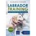 Labrador Training: Dog Training for Your Labrador Puppy