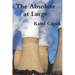 The Absolute at Large