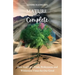 Mature and Complete: How God Uses Trials, Brokenness, and Wilderness Times for Our Good