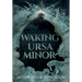 Waking Ursa Minor