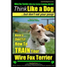 Wire Fox Terrier, Wire Fox Terrier Training, AAA AKC Think Like a Dog But Don't Eat Your Poop! Wire Fox Terrier Breed Expert Training: Here's EXACTLY