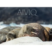 Aiviq: Life with Walruses
