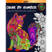 Color By Number For Adult: Coloring Book. 60 Color By Number Pages. New and expanded edition