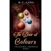 The Door of Colours