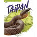 Taipan