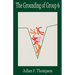 The Grounding of Group 6