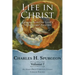 Life in Christ Vol 7: Lessons from Our Lord's Miracles and Parables