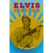 Elvis Ignited: The Rise of an Icon in Florida
