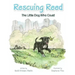 Rescuing Reed: The Little Dog Who Could