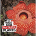 The World's Most Fantastic Plants